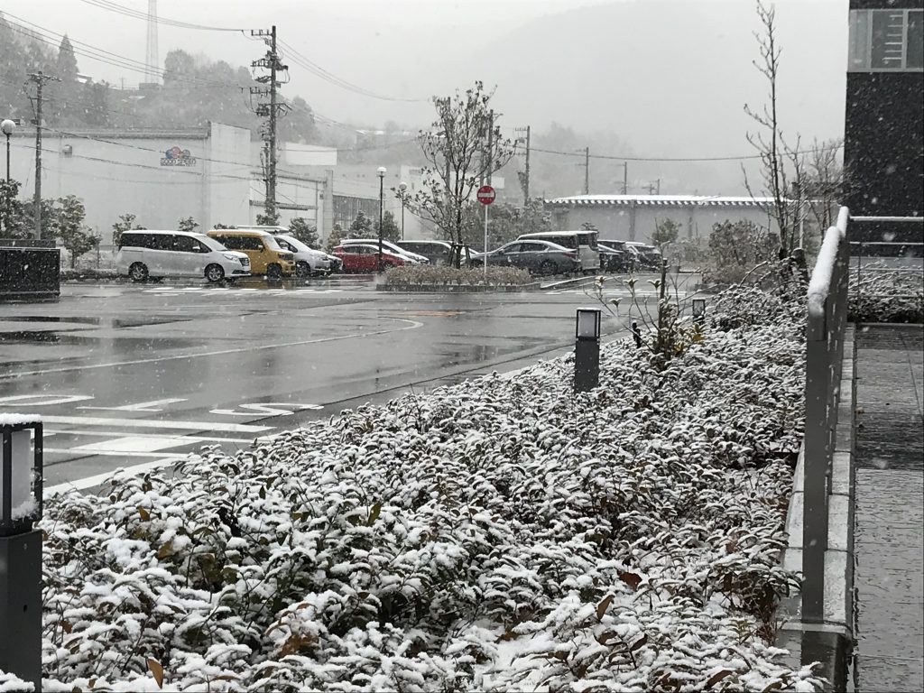 雪が積もりました