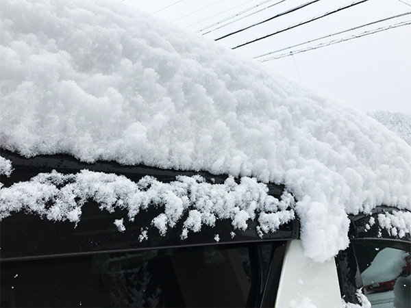 岐阜県の東濃地区も雪が積もりました